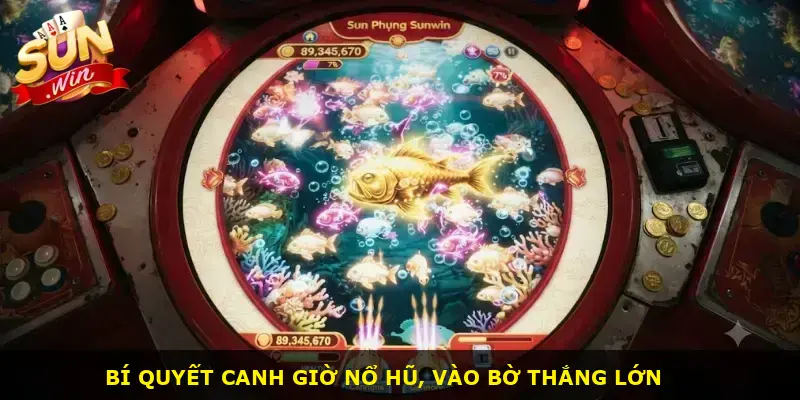 Sun Phụng Sunwin - ảnh 3